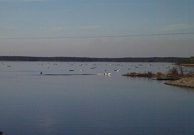 Fishing for Crappies at LoP