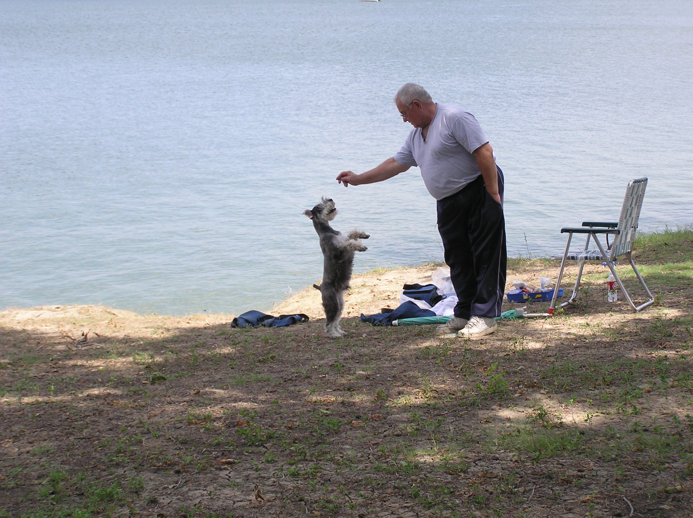 Pet Friendly Lavon Lake