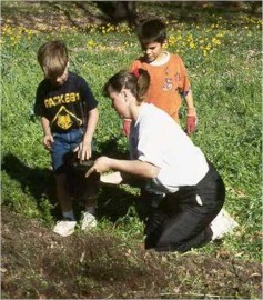 volunteer tree planting