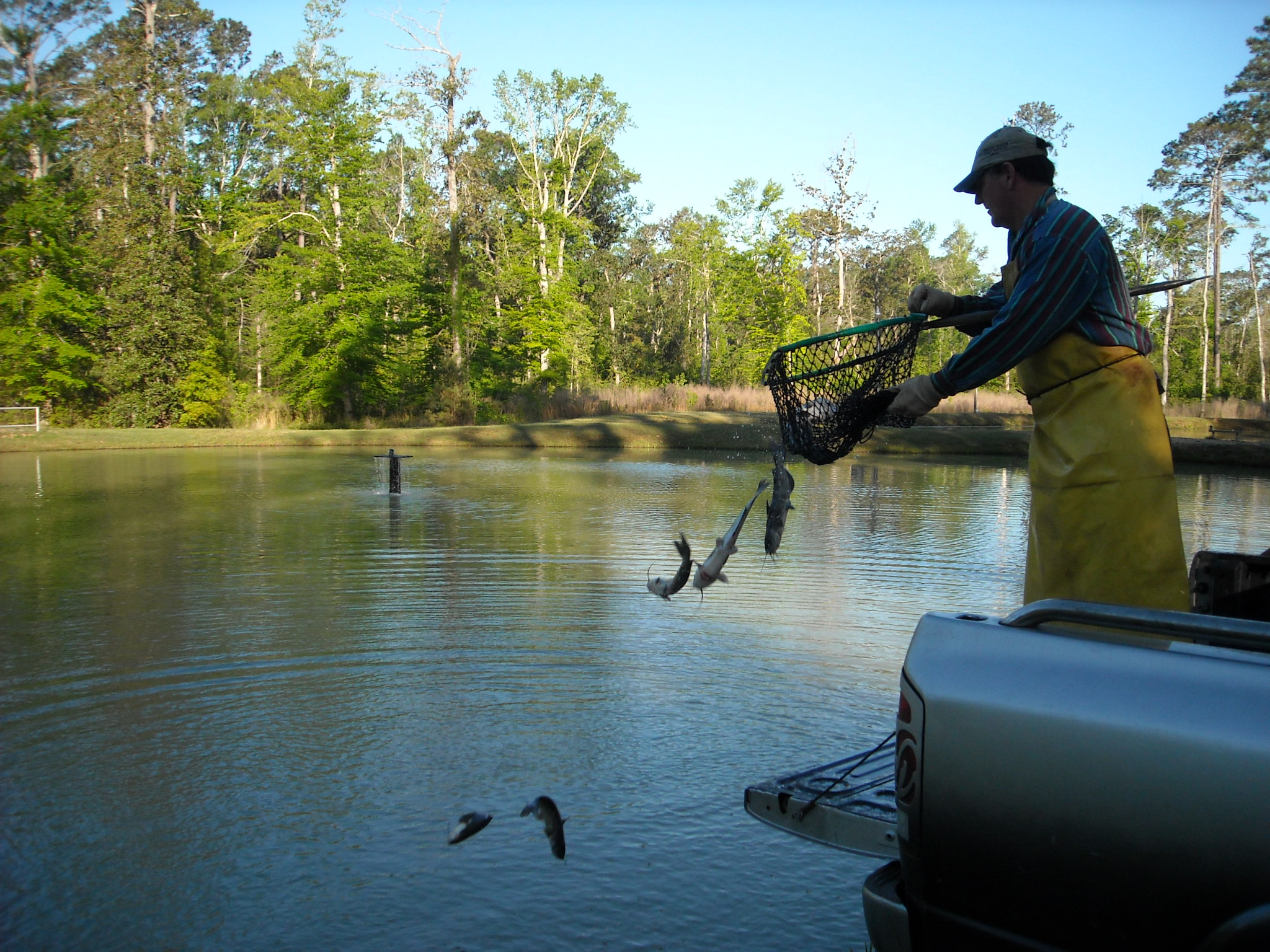 Fishing at Town Bluff Dam and BA Steinhagen Lake