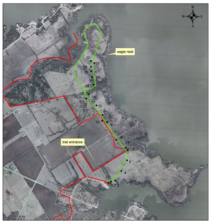Lacy Point Interpretive Trail