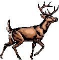 ../images/Hunting_clip_image002